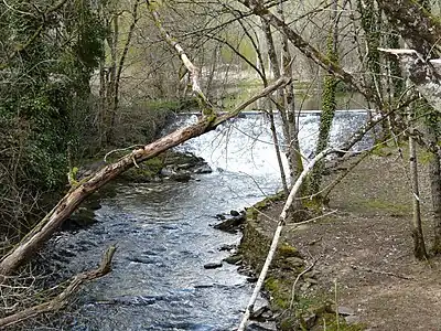 Die Loue flussaufwärts von der Schmiede bei Beausoleil