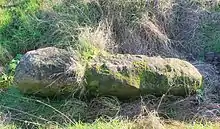 Menhir „Pierre Couchée“