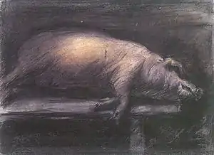 Geschlachtetes Schwein, 1906