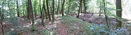 Lüneburger Landwehr