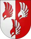 Flüge in verwechselten Farben (Luins CH)