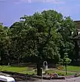 Paul-Friedrich-Brunnen, Luthereiche Wittenberg, 1924