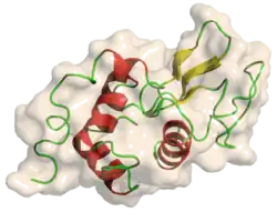 Lysozym C (Gallus gallus)