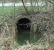 Unterirdisches Ende des Lyssachbaches (zurück in den Mülibach)