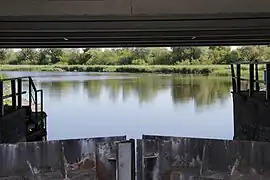 Blick auf die Unterwarnow