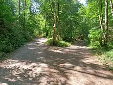Abstieg (links) aus dem Kupferbrunner ins Mühltal