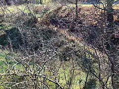 Mündung des Schrannental­grabens (rechts) in den Haintal­graben (2022)
