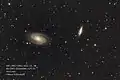M81 und M82 mit einem Amateurteleskop