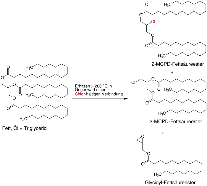 Schematische Darstellung der Bildung eines 2-MPCD-Fettsäureesters, eines 3-MCPD-Fettsäureesters und eines Glycidyl-Fettsäureesters aus einem Fett oder Öl.