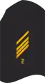 Dienstgradabzeichen eines Stabsgefreiten SanOA (Laufbahnabzeichen Zahnmedizin) auf dem Oberärmel des dunkelblauen Hemdes für Marineuniformträger