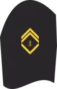 Ärmelabzeichen Dienstanzug Marineuniformträger 20er Verwendungsreihen