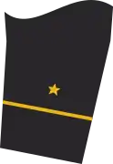 Ärmelabzeichen Dienstanzug Marineuniformträger (Truppendienst oder militärfachlicher Dienst)