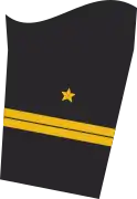 Ärmelabzeichen Dienstanzug Marineuniformträger (Truppendienst oder militärfachlicher Dienst)