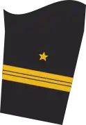 Ärmelabzeichen Dienstanzug Marineuniformträger (Truppendienst oder militärfachlicher Dienst)