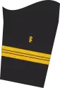 Dienstgradabzeichen eines Stabsarztes (Approbation für Humanmedizin) auf dem Unterärmel der Jacke des Dienstanzuges für Marineuniformträger