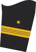 Ärmelabzeichen Dienstanzug Marineuniformträger (militärfachlicher Dienst)
