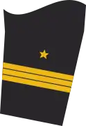 Ärmelabzeichen Dienstanzug Marineuniformträger (Truppendienst)