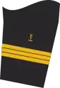 Dienstgradabzeichen auf dem Unterärmel der Jacke des Dienstanzuges für Marineuniformträger