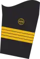 Dienstgradabzeichen eines Kapitäns zur See (Geomilitärischer Dienst) auf dem Unterärmel der Jacke des Dienstanzuges für Marineuniformträger