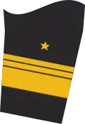 Ärmelabzeichen Dienstanzug Marineuniformträger (Truppendienst)