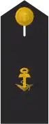 Schulterklappe Dienstanzug Marineuniformträger 10er Verwendungsreihen