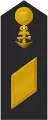 Schulterklappe Dienstanzug Marineuniformträger 60er Verwendungsreihen