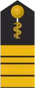 Schulterklappe für Marineuniformträger (Humanmediziner).