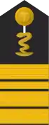 Schulterklappe für Marineuniformträger (Apotheker).