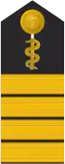 Schulterklappe für Marineuniformträger (Humanmediziner).
