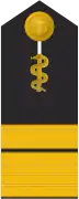 Schulterklappe für Marineuniformträger (Humanmediziner).