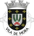 Wappen von Mora