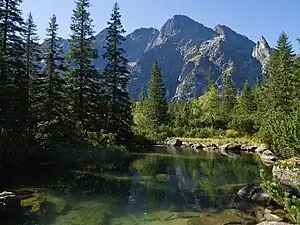 Małe Żabie Oko