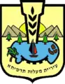 Wappen von Maʿalot-Tarschicha