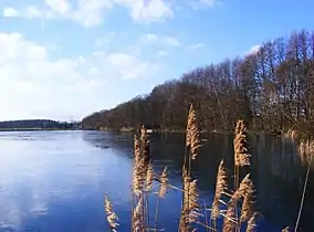 Großer Teich
