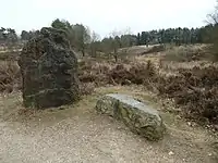 Menhir auf der Mechelner Heide
