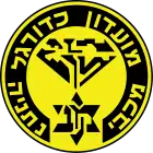 Logo von Maccabi Netanja