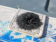 Magnetit am Verschluss einer Handyhülle