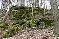 Moosbewachsene Felsen der Magnetsteine (2018)