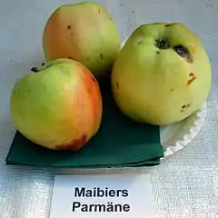 ‘Maibiers Parmäne’