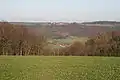 Blick von Storchsnest nach Büchelberg