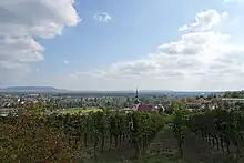 Mainstockheim mit einem Kirchturm, im Vordergrund Rebzeilen, im Hintergrund der Ort Buchbrunn.