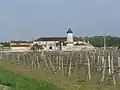 Turm von Mainxe