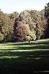 Parkrasen