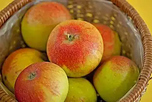 Alkmene
