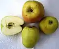Glockenapfel