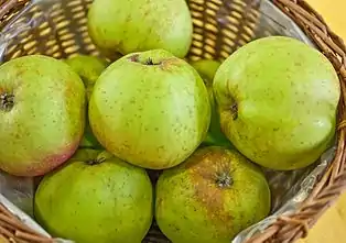 Äpfel der Sorte Kanadarenette