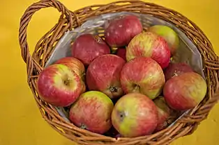 Roter Trierer Weinapfel