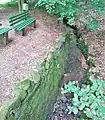 Raupenbach