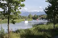 Alter Rhein bei Altenrhein