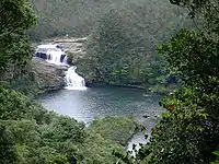 Die Inseln Amami-Oshima, Tokunoshima, Iriomote und nördlicher Teil der Insel Okinawa